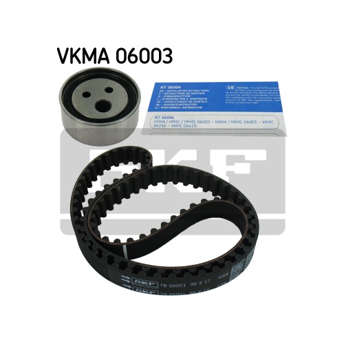 SKF 06003 Eksantrik Gergi Kiti - . Görsel